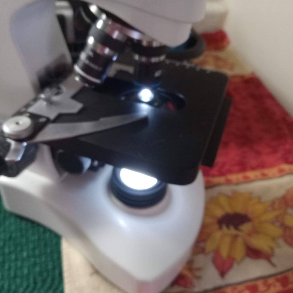 Light up Microscope - Picture 2 of 3